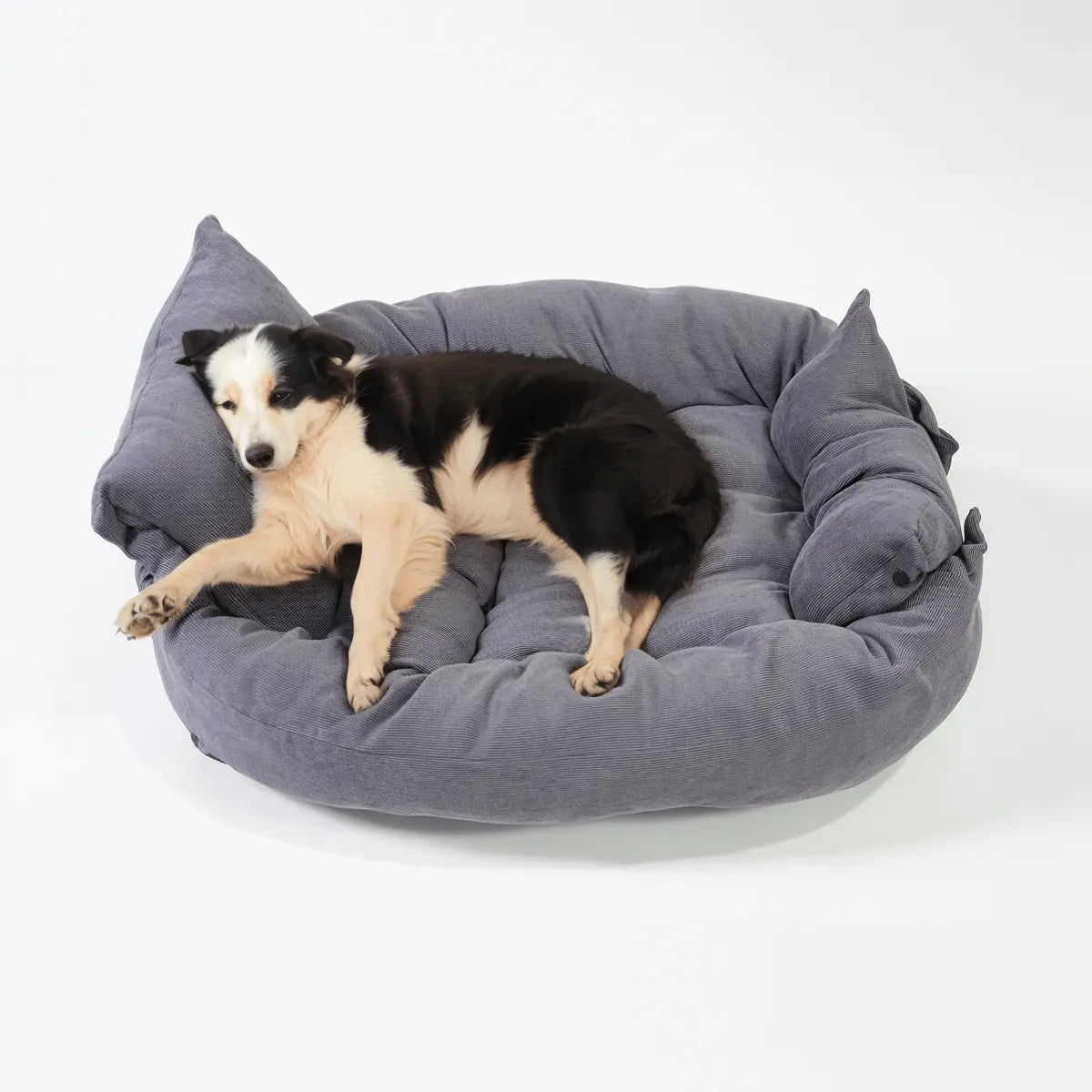 Corduroy Fabric Sofa Bed - CAFSPETHR - PET19 - GY